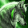 avatar of EvoKev96
