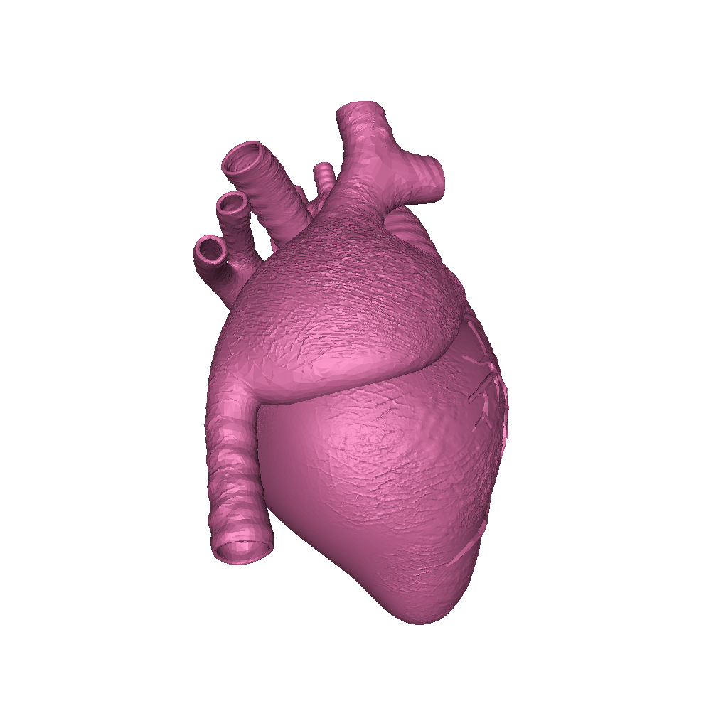 heart