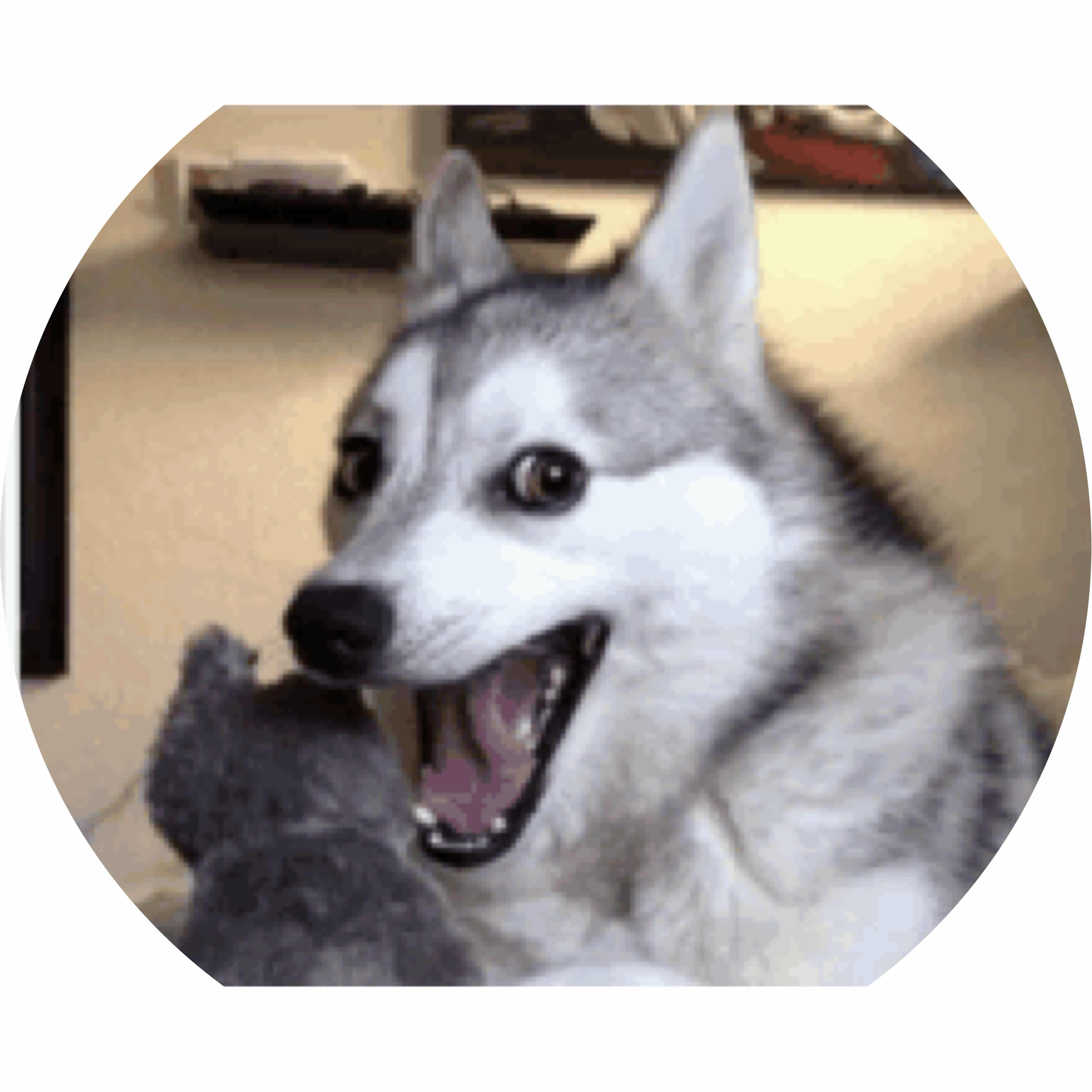 avatar of Clobbersaurus