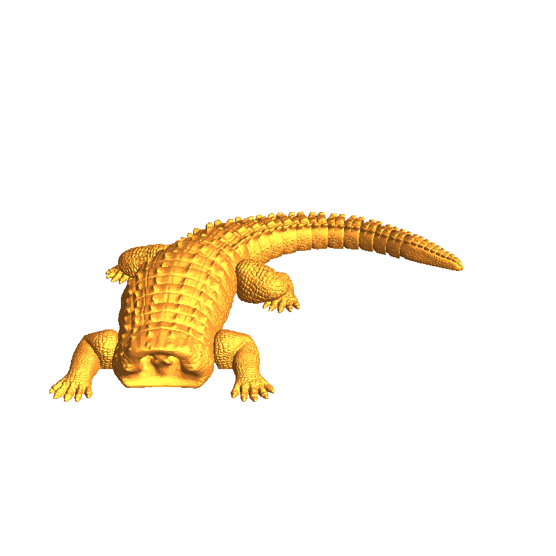 Crocodile Flexi