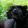 avatar of El Líder Pantera