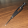 avatar of Tom The Designer 67