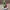Tonie Grinch auf Sockel