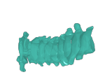 Scorpion -5