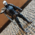 avatar of HakatoX_or_Guido