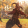 avatar of Fendrenrea