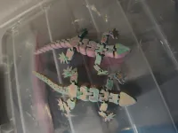 gecko_flexi-2