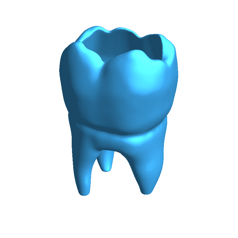 Teeth / Tooth Flower Pot