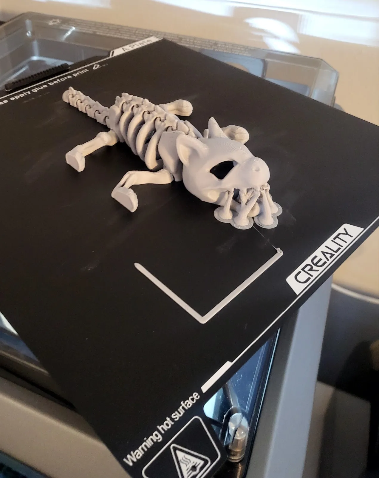 Articulated Skeleton Cat-1