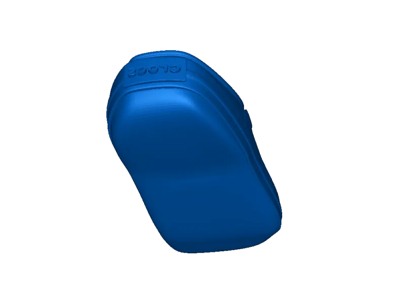 slipper