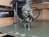 Pirate skeleton-3