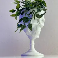 SCULL GOBLET - PRINT IN PLACE-5