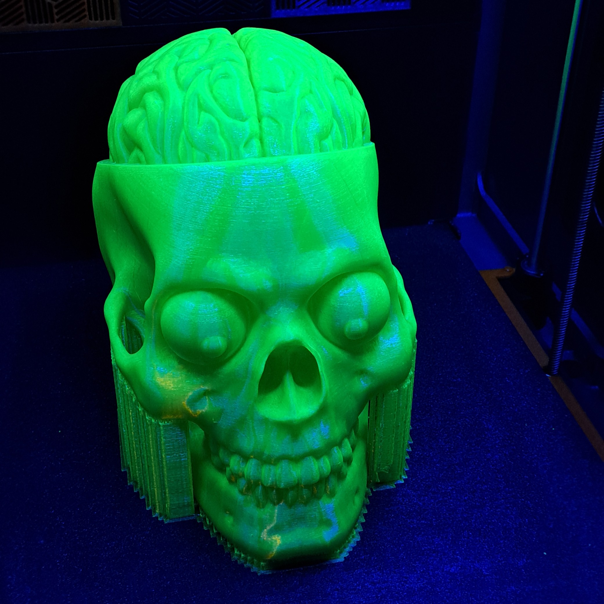 Cool Skull Full Size