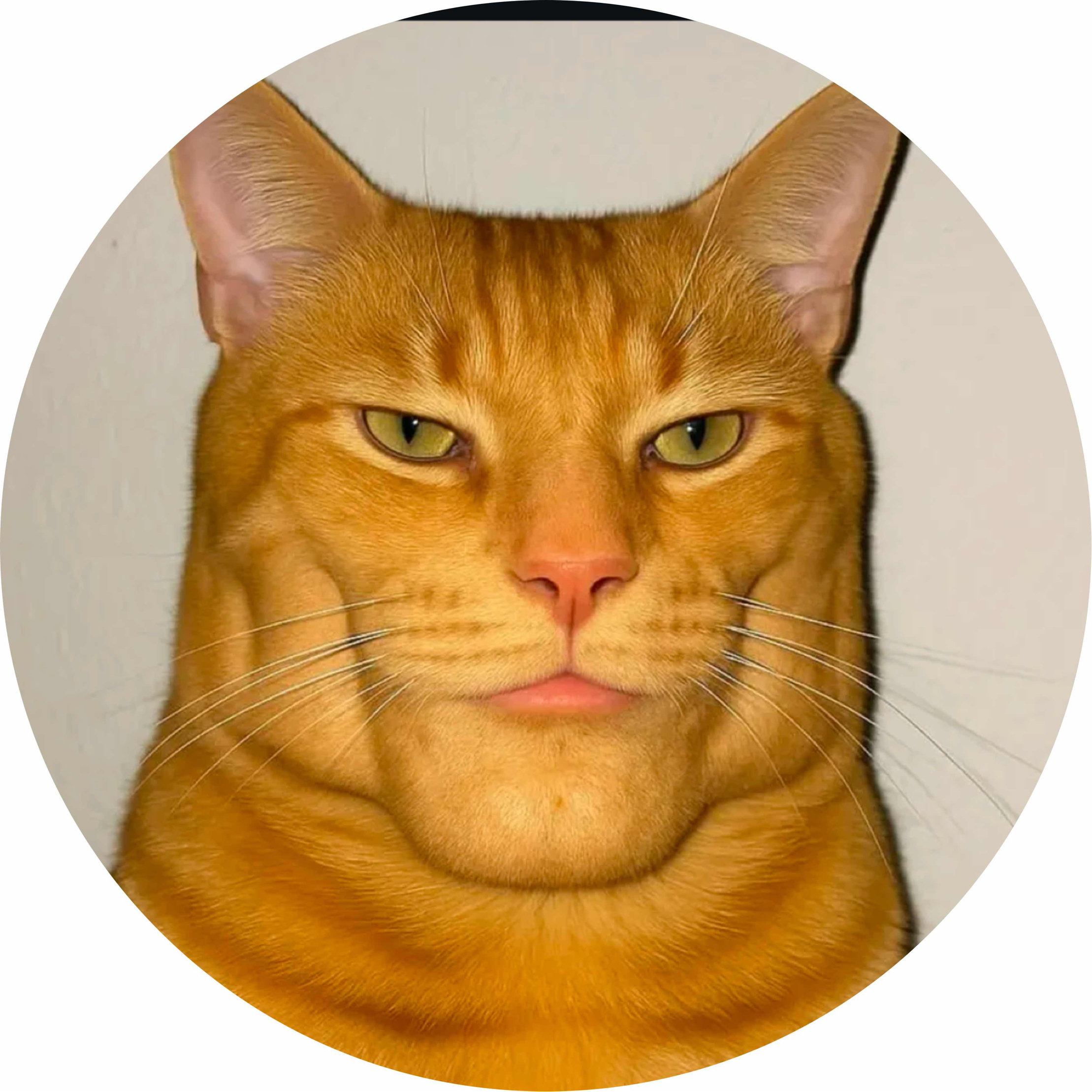 avatar of LEDDanny