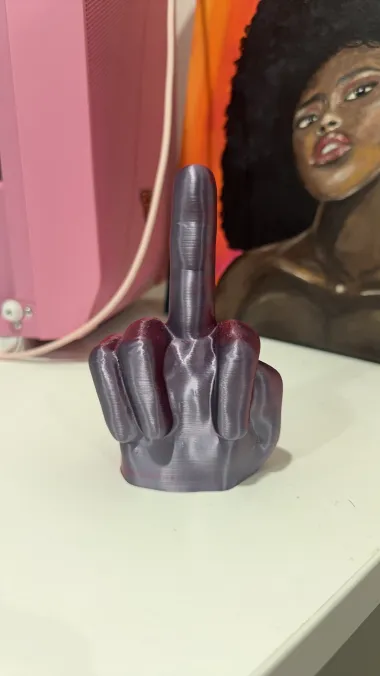 MR. NICE GUY MIDDLE FINGER - EASY PRINT-0