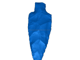 Indian arrowhead-0