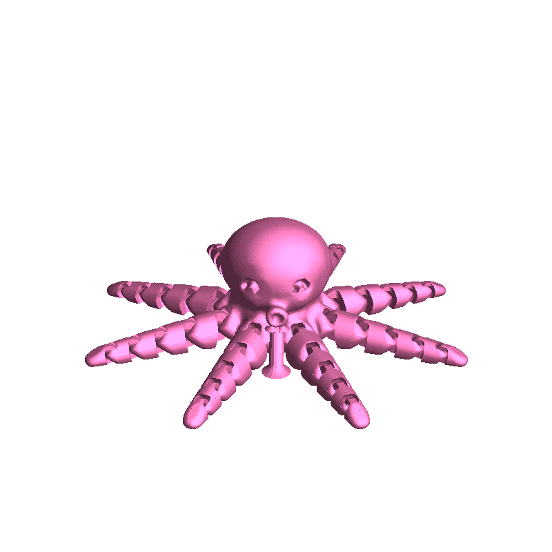 octopus