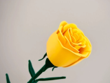 rose #2-0