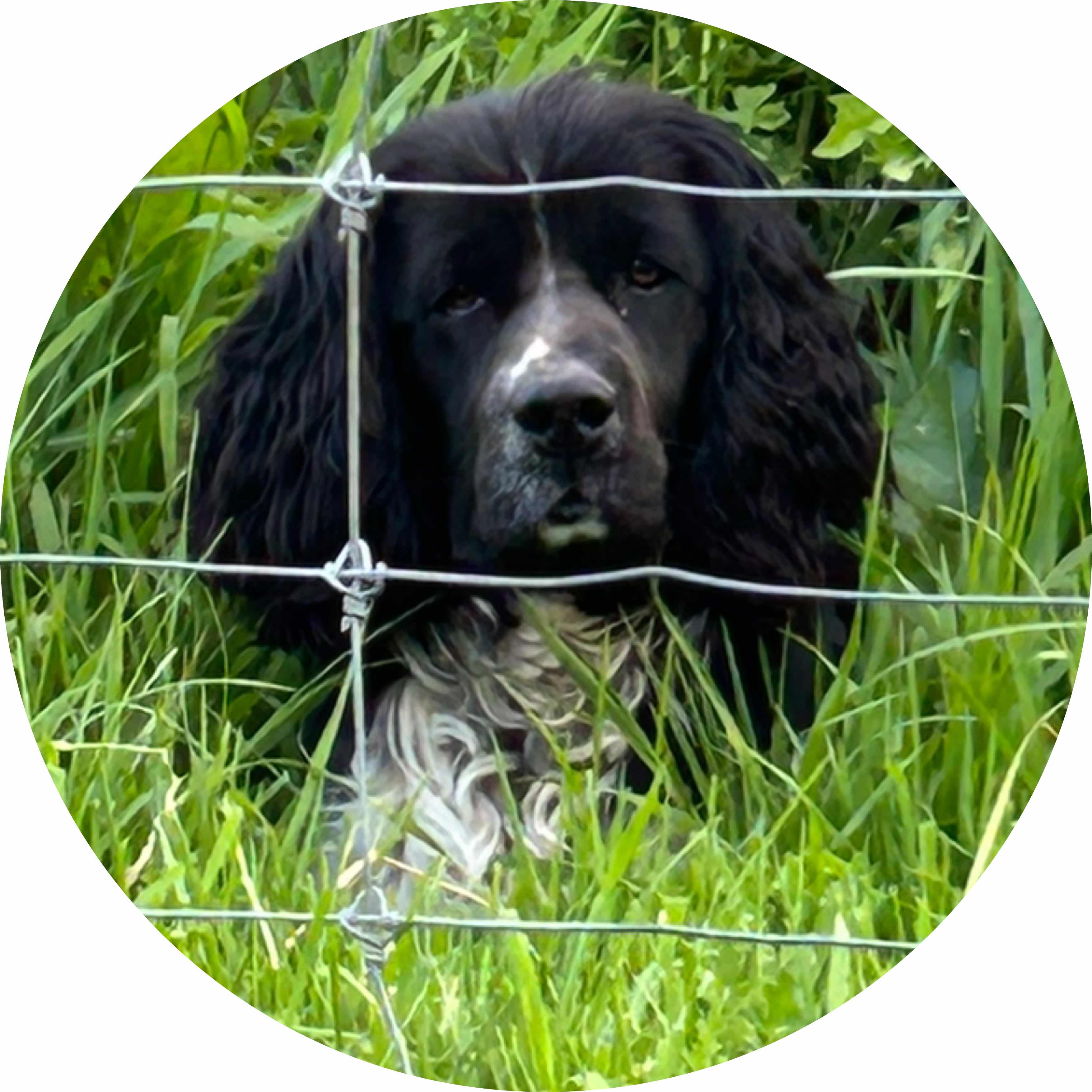 avatar of Tessa9292