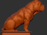 american bully sentado -2