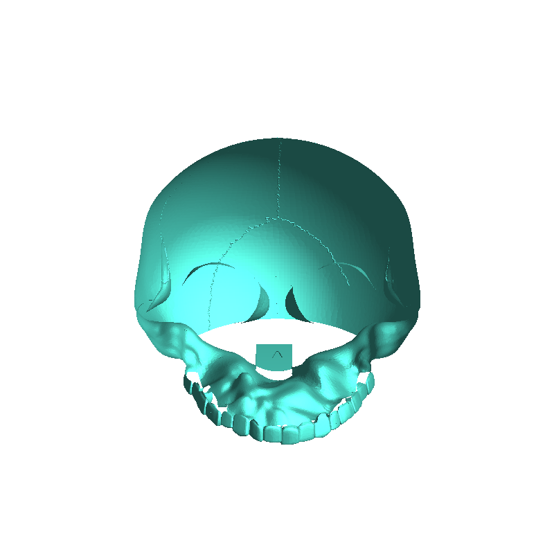 Octoskull Phone Holder