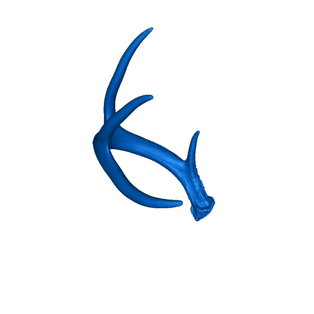 Deer Antler 3D models download Creality Cloud