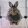 avatar of Lex-6244