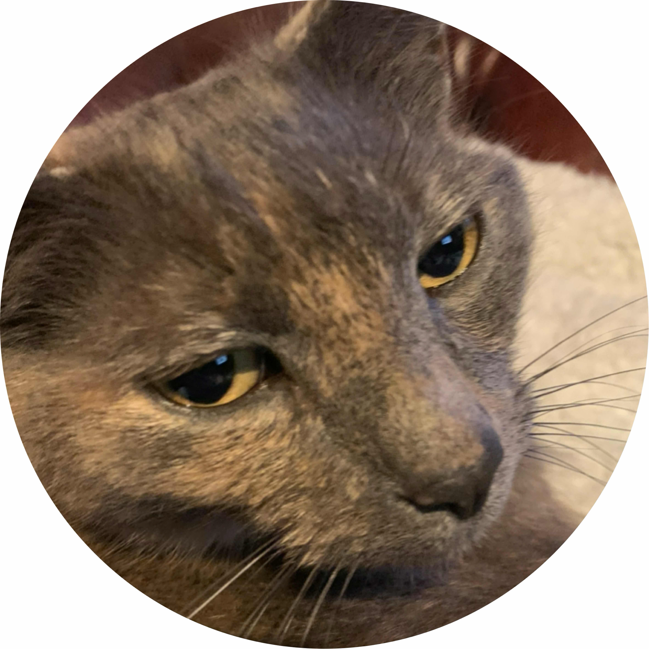 avatar of eleanor_peacemaker
