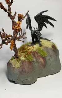 Black Dragon-2