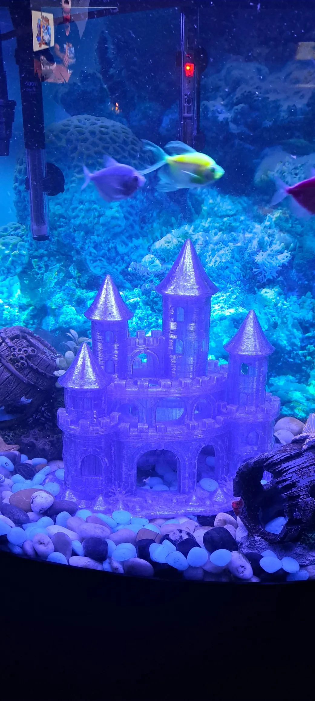 Aquarium Fish House-4