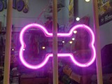 Bone Accessory led neon-0