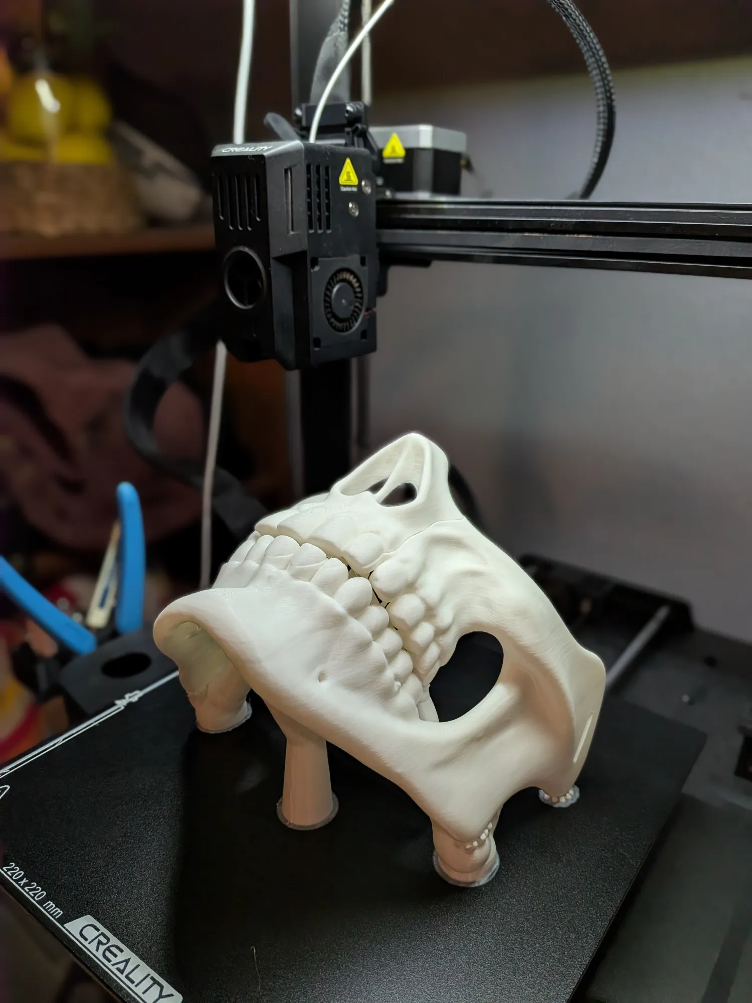 Halloween Mouth Covered Skeleton Mask-1
