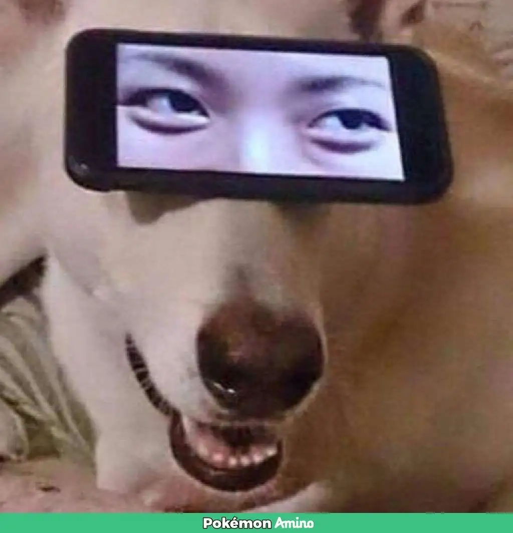 the meme group
