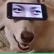 the meme group