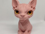sphynx cat-0