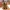 Timber Root – Organischer Stifthalter