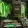avatar of Austin T