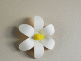 A flower for a needle button-0