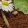 avatar of TamiTam