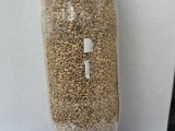 Automatic Bird Waterer and Feeder-5