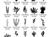 2D profiles Seaweed aquarium-4