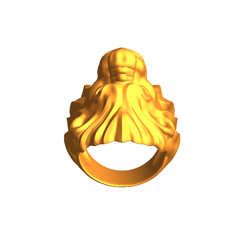 Lion ring man ring jewelry 14