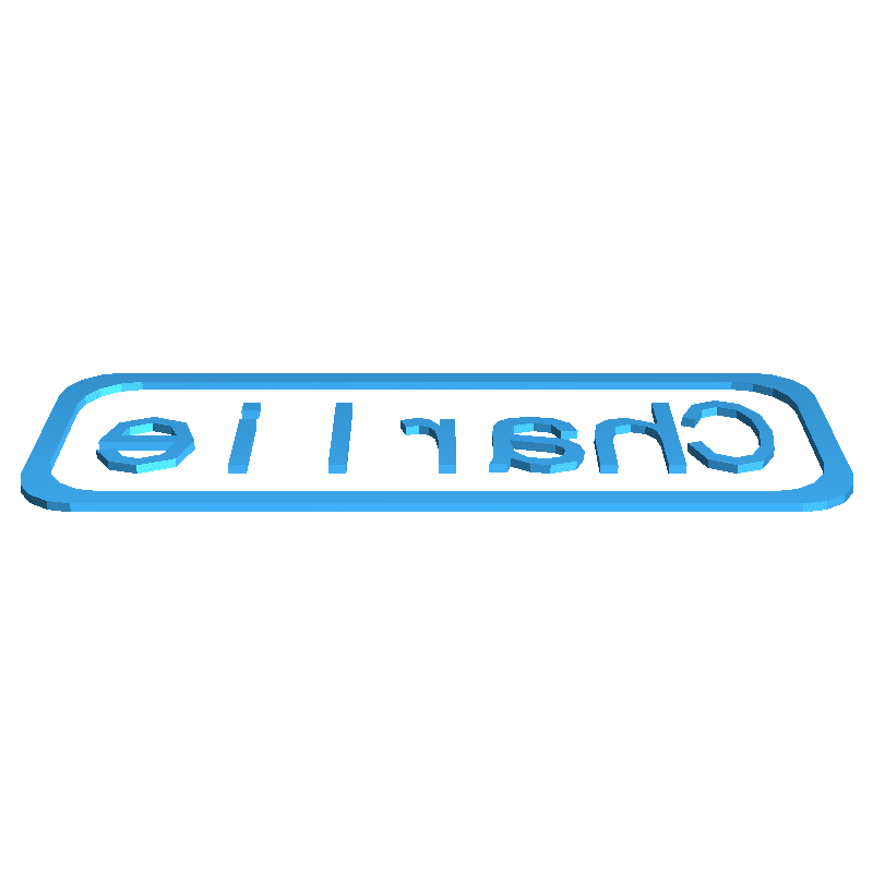 My Customized Name Tag - Charlie