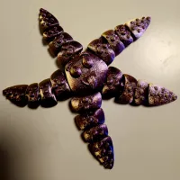 CUTE FLEXI STARFISH-1