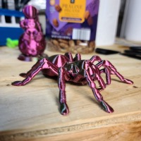 Tarantula Spider-2