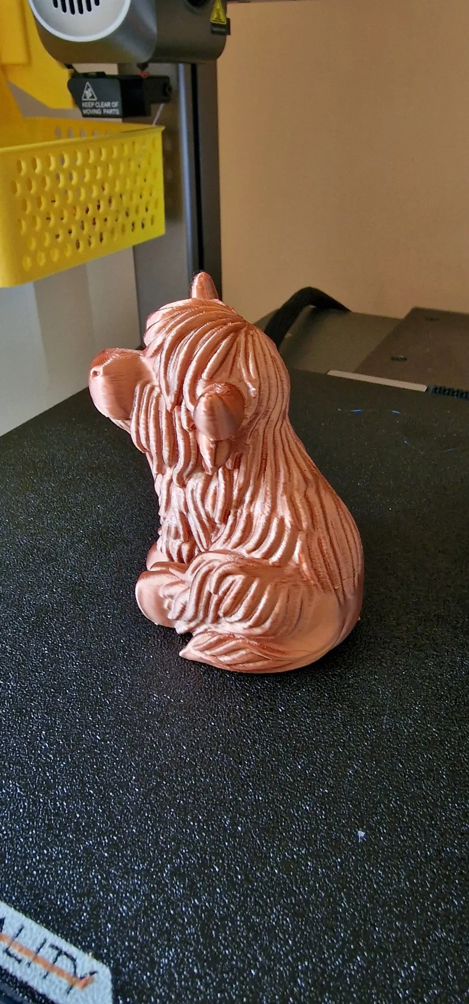 Chonky Highland Cow – Shaggy Horned Cutie-3