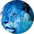 avatar of Adcgn45