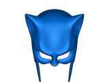 Wildcat masr⁶-4