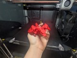 Flexi Charizard -1