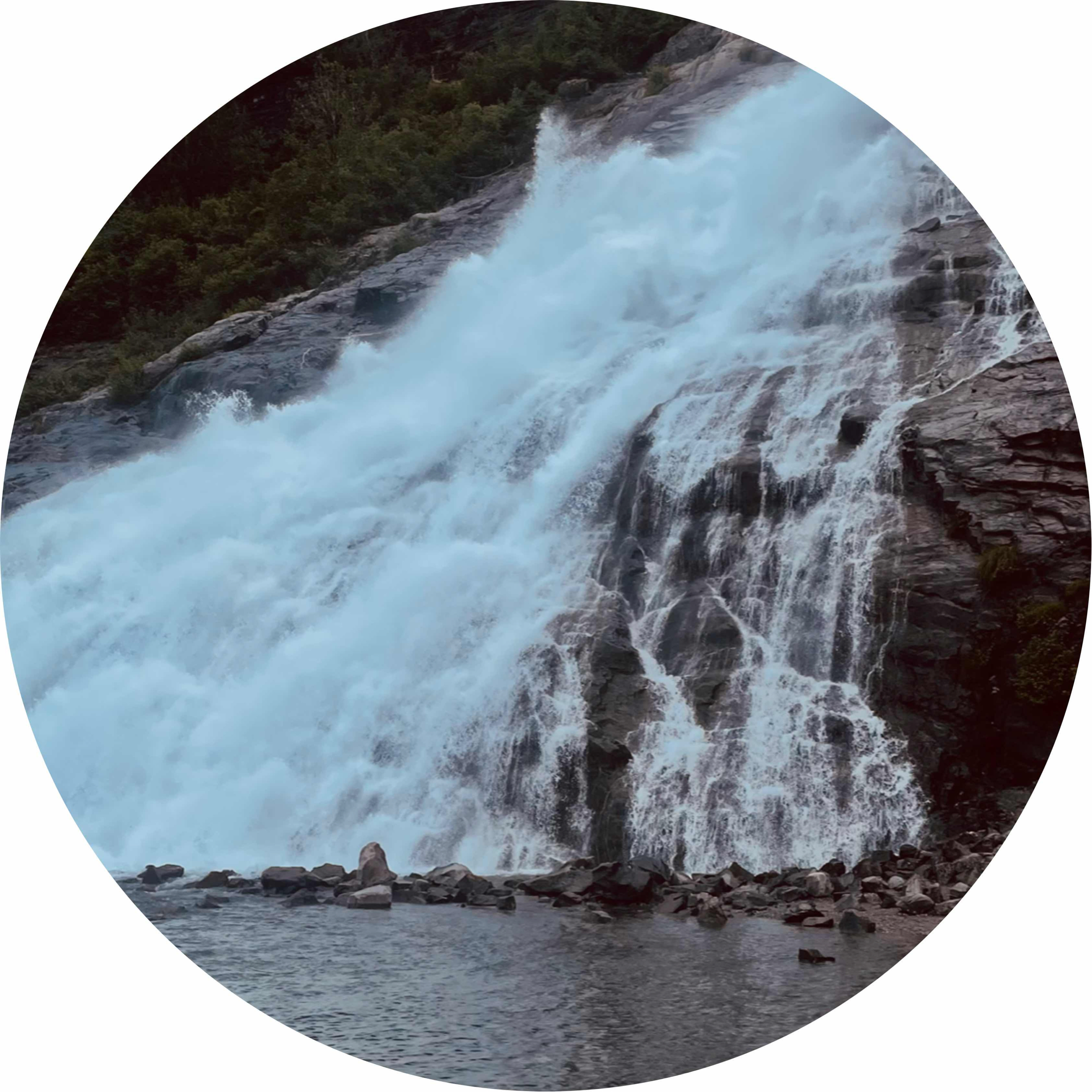 avatar of Jennifer c